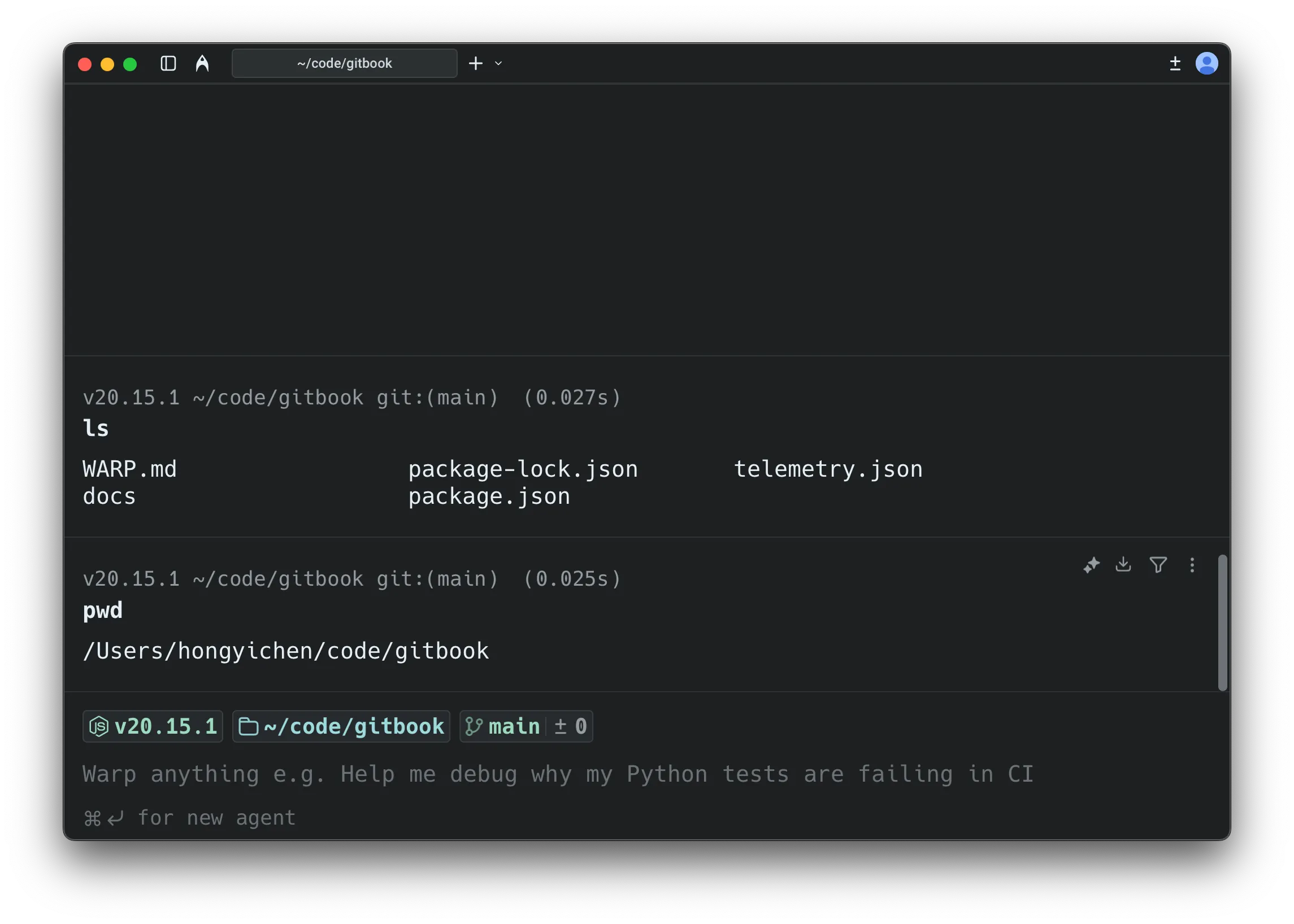 Default terminal mode in Warp, showing a clean terminal input.
